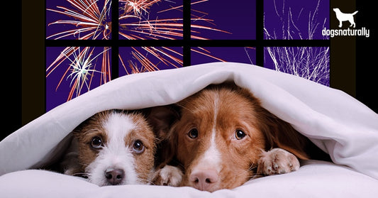 Firework Season!