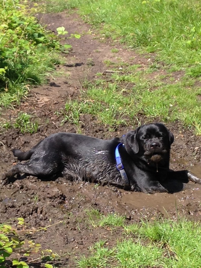 The Importance of Good Nutrition...... Eccles' Story