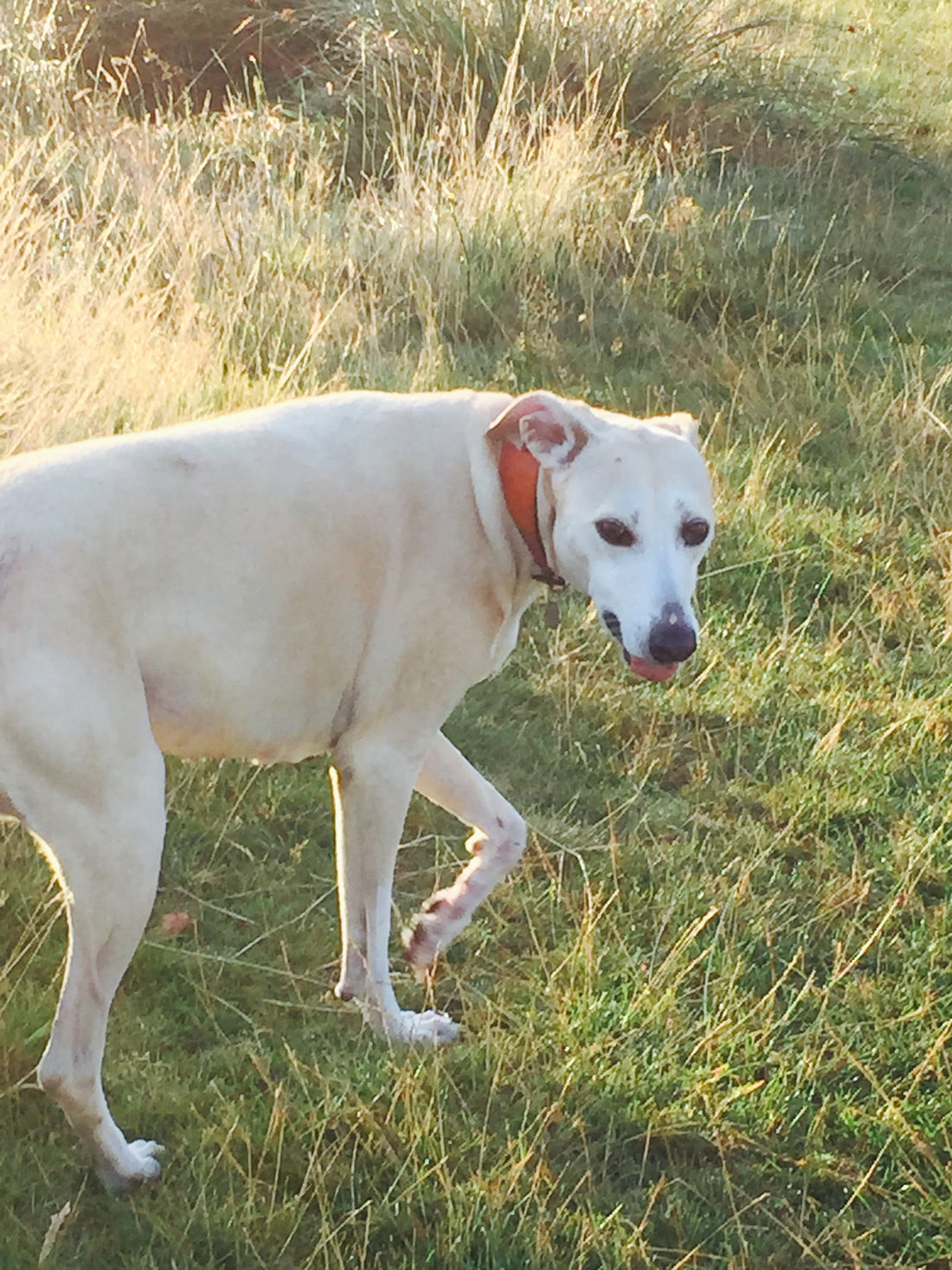 The Importance of Good Nutrition.....Delylah's Story