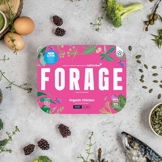 Naturaw Forage Puppy: Organic Chicken