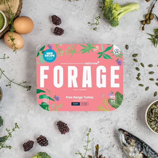 Naturaw Forage Puppy: Free Range Turkey